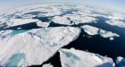 Environmental groups want Arctic Council support for ban on heavy fuel oil