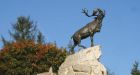 WW I slaughter of Newfoundland Regiment a case of 'strategic stupidity': Rick Hillier